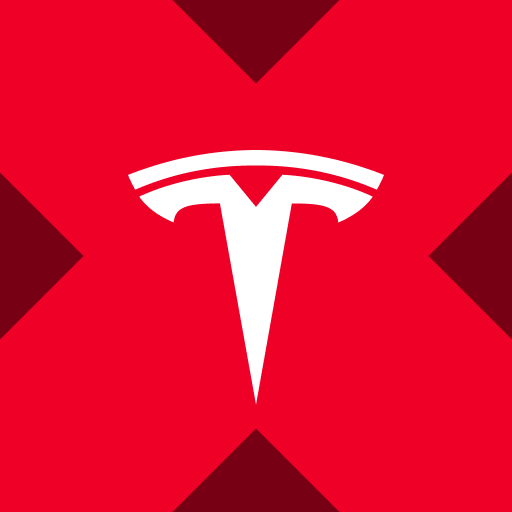 Tesla xStock